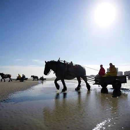 Apartment In Nieuwpoort With Ocean Views Nieuwpoort