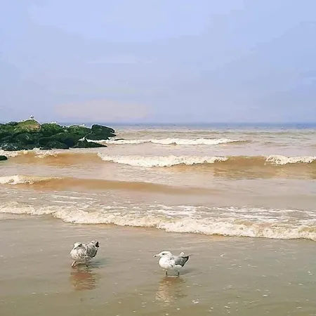 Apartamento Apartment In Nieuwpoort With Ocean Views