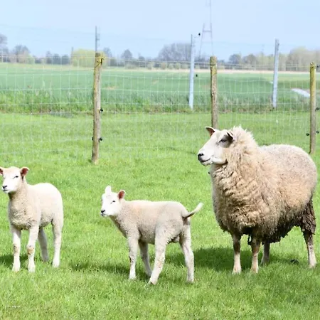 Apartamento Apartment In Nieuwpoort With Ocean Views *