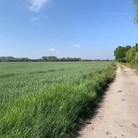 Apartment In Nieuwpoort With Ocean Views Nieuwpoort